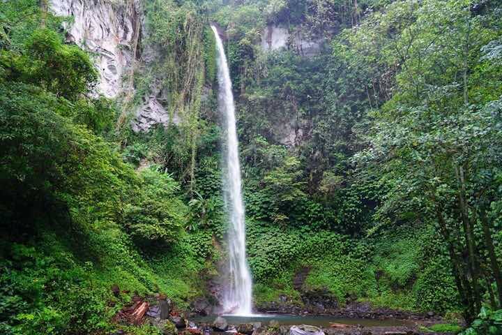 Water stream surrounded by rainforest flowing down onto rocks Blahmantung Waterfall, Bali