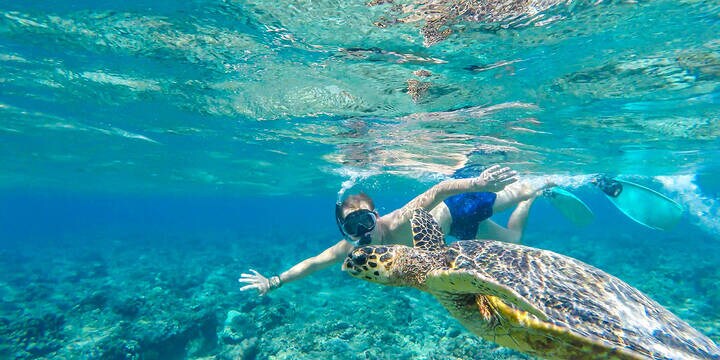 A man in a diving mask and fins diving along a turtle, next to the shore of Gili Air, Lombok Indonesia. Beautiful and crystal clear water.