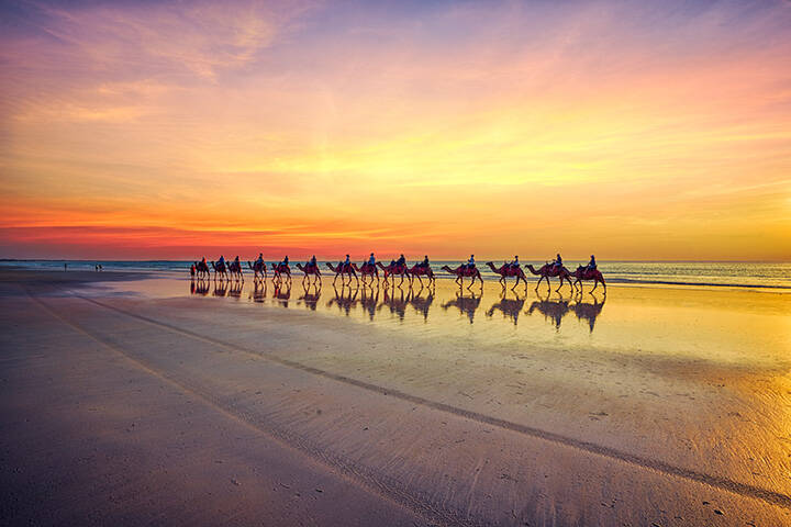Camels at sunset on Cable Beach, Broome, Western Australia