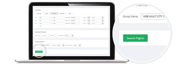 GSO interface screen showing search flight function.