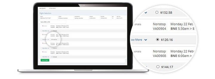 GSO interface screen showing search flights with radio button.