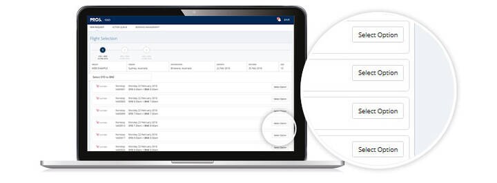 GSO interface screen showing option to select flights.