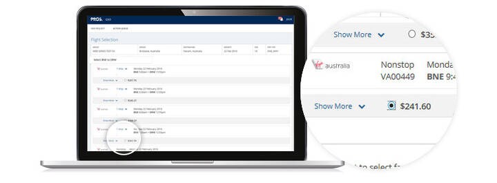 GSO interface screen showing flight selection with radio button option.