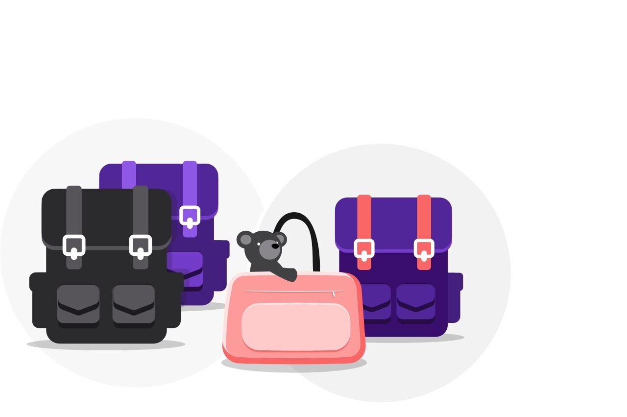 Infant carry-on baggage allowance option 2