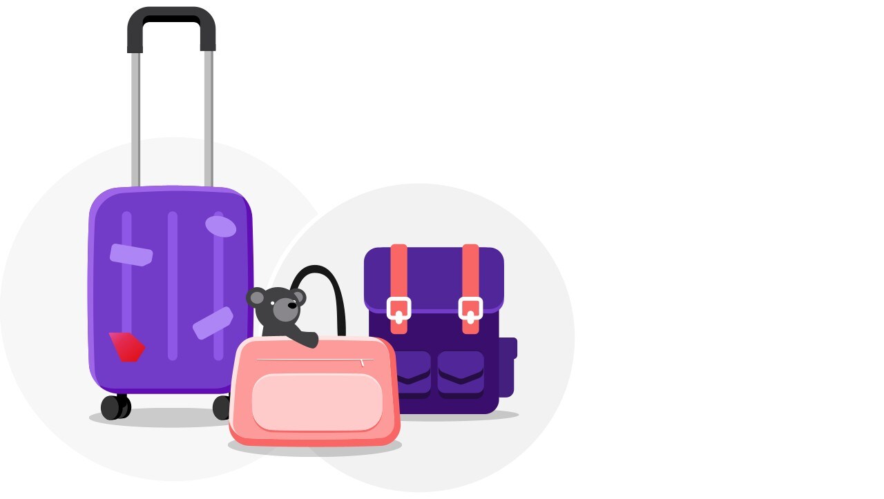 Economy Infant carry-on baggage allowance option 1