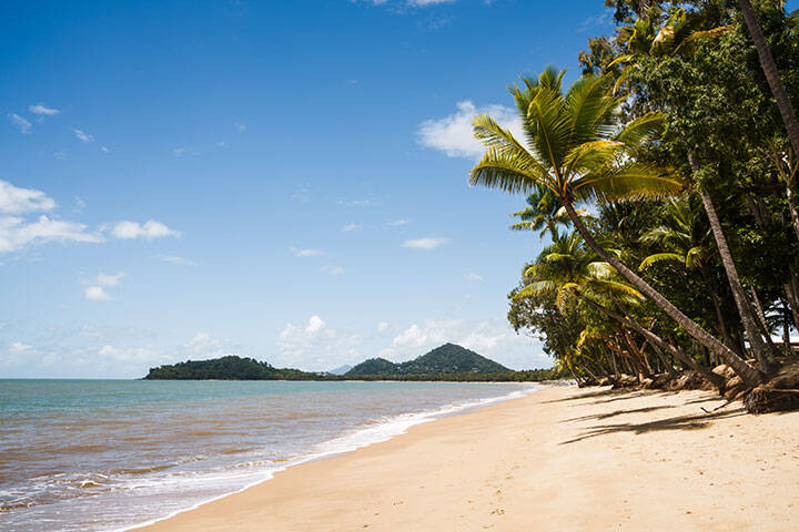 Tropical beach with palm trees, Cairns, Queensland, Australia  