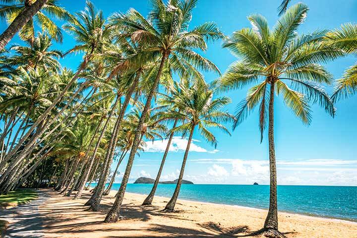 The view of the Palm Cove Beach on a sunny days