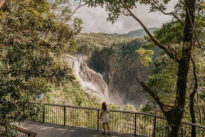 Din Din Barron Falls Lookout Track - Elevated, accessible walkway through the Barron Gorge National Park with views to the Barron Falls below