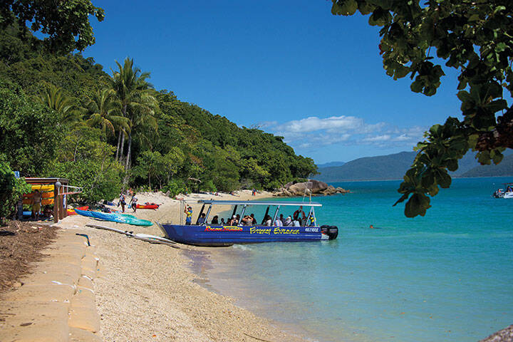 Fitzroy Island tour