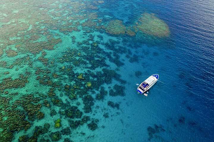 3 day liveaboard scuba dive and snorkelling trip exploring the Great Barrier Reef