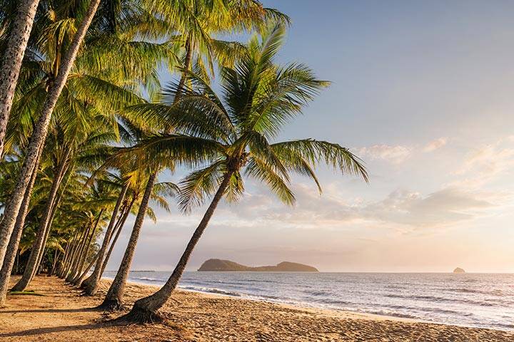 View of Palm Cove beach at sunrise, with a view of the palm trees, shore and ocean