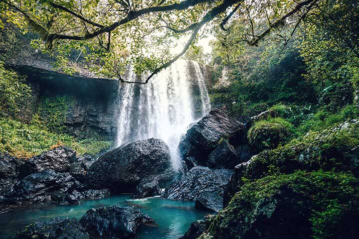 Zillie Falls - Falls located on the Waterfalls Circuit with Millaa Millaa and Ellinjaa Falls