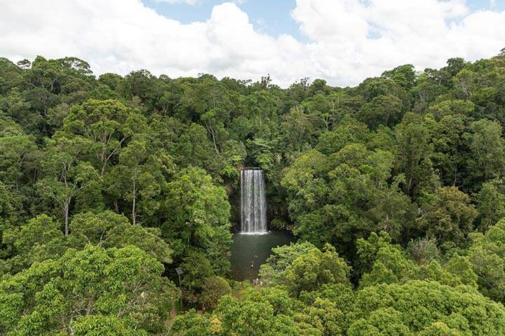 Aerial of couple swimming at the Millaa Millaa falls as part of a guided day trip with FNQ Nature Tours