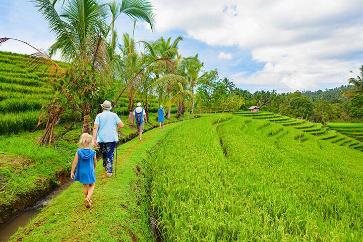 Group of tourists, young and hold, walking by path with rice fields view